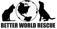 Better World Rescue